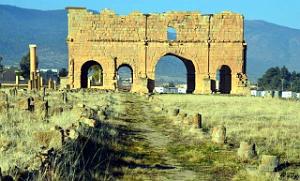ALGERIE-RUINES ROMAINES DE LAMBESE (25)
